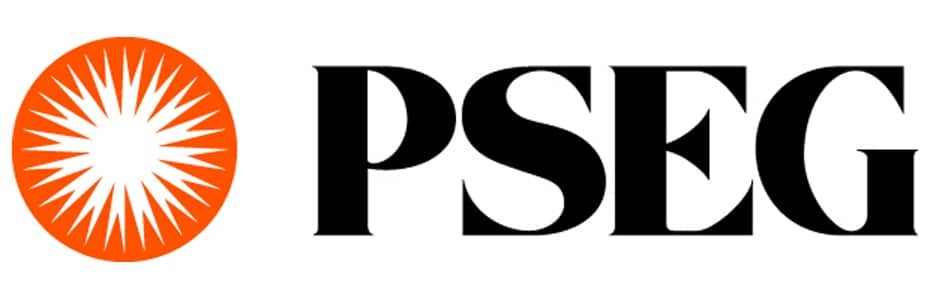 Logo reading PSEG