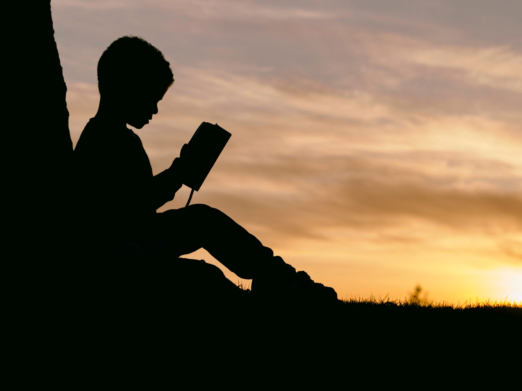 Photo of a child leaning against a tree reading a book at sunset